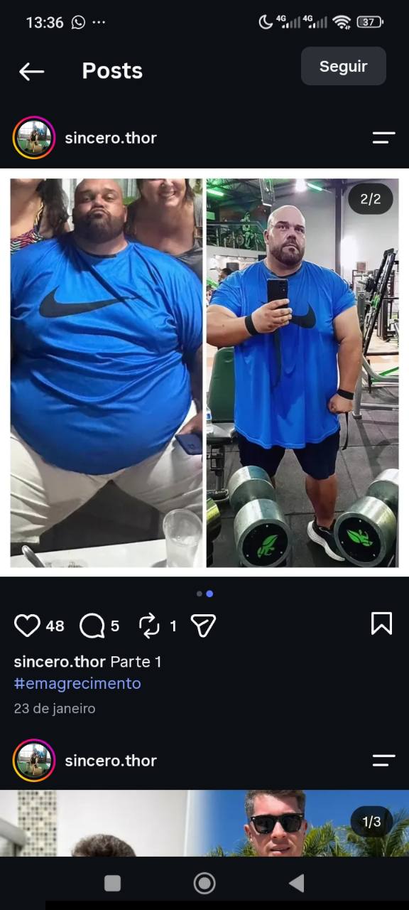 Comparação de evolução compartilhada pela TeamThor